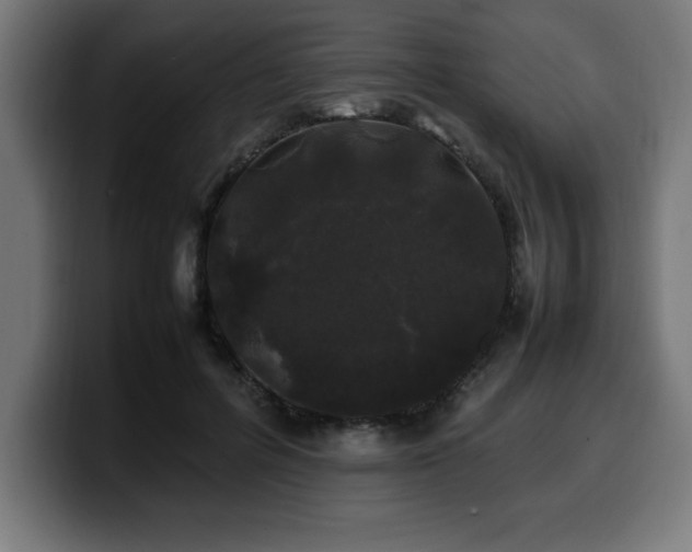 X0000100490600200806131251