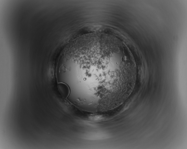 X0000100490602200806131251