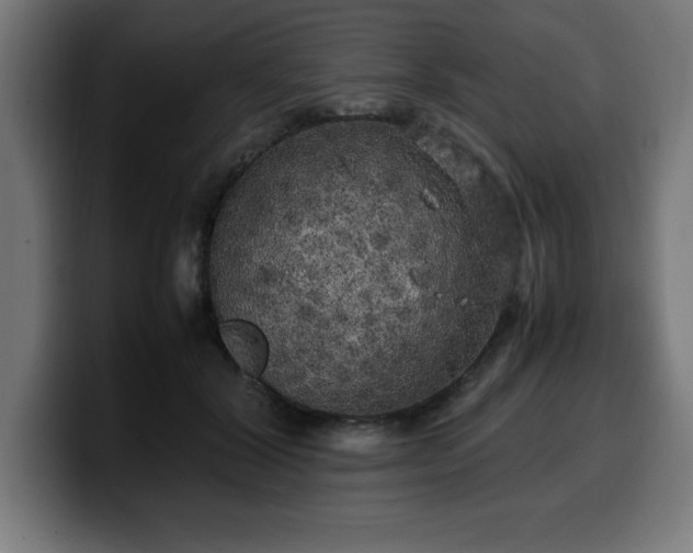 X0000100490604200806131251