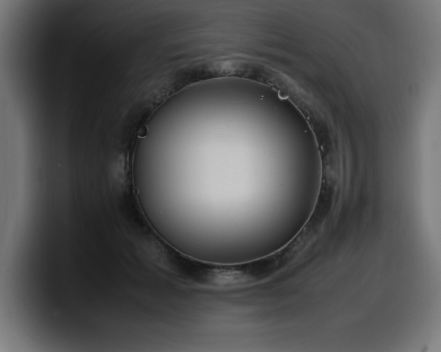 X0000100490605200806131251