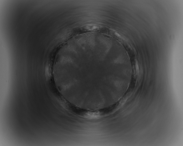 X0000100490606200806131251