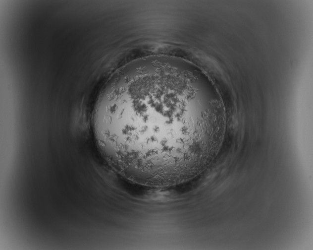 X0000100490607200806131251