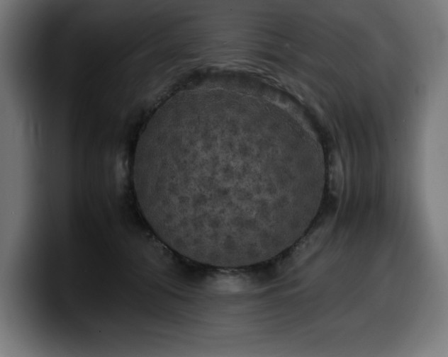 X0000100490608200806131251