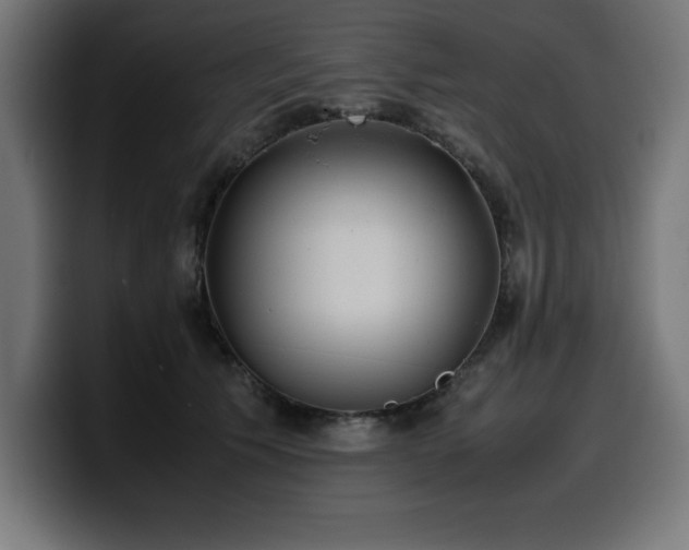 X0000100490609200806131251