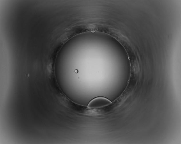 X0000100490611200806131251