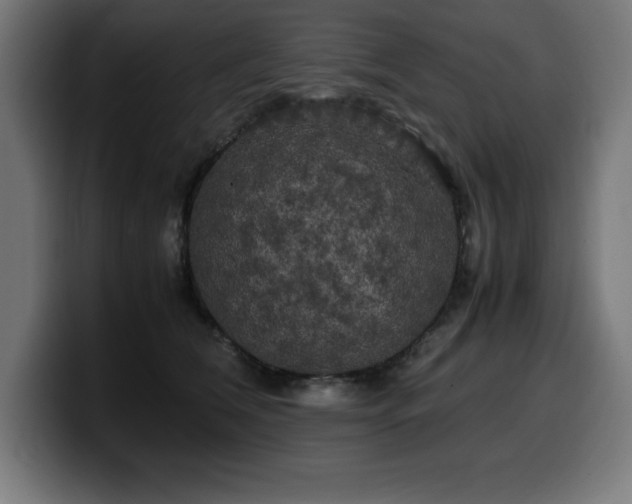 X0000100490612200806131251