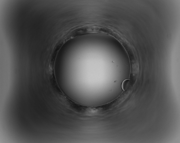 X0000100490613200806131251