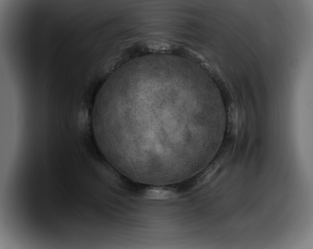 X0000100490614200806131251