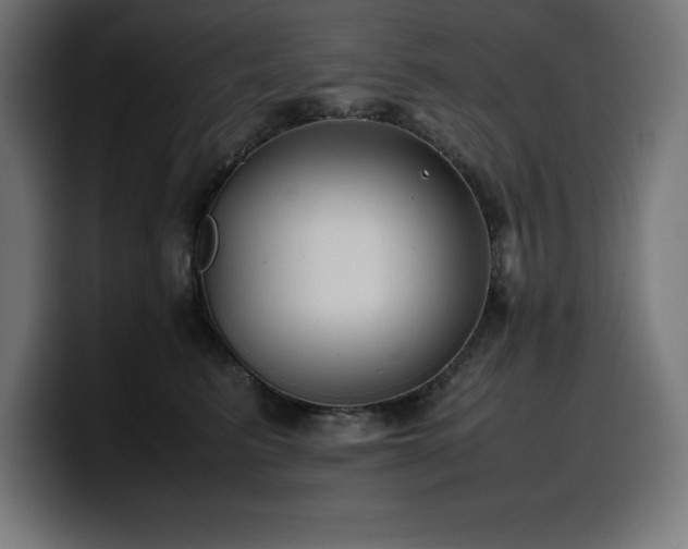 X0000100490615200806131251