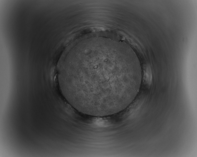 X0000100490616200806131251