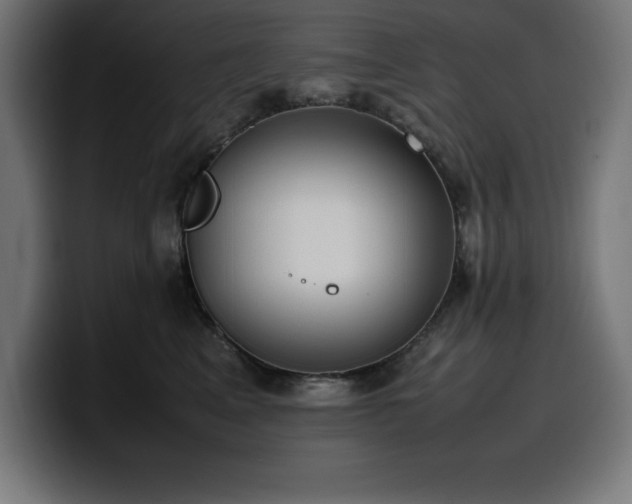 X0000100490617200806131251