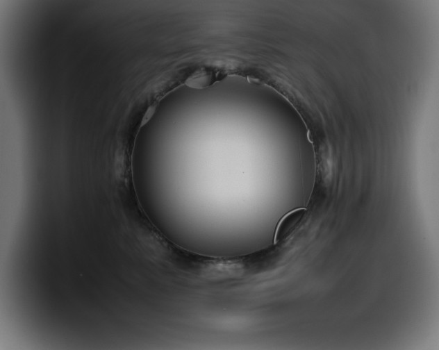 X0000100490619200806131251