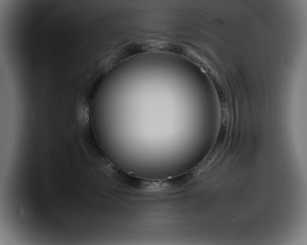 X0000100490621200806131251