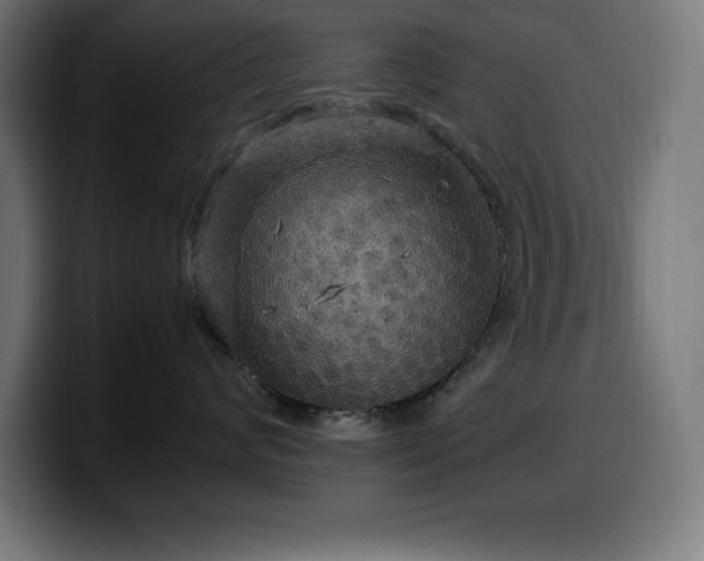 X0000100490624200806131251