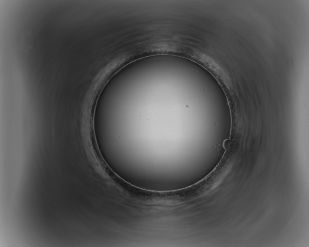 X0000100490625200806131250