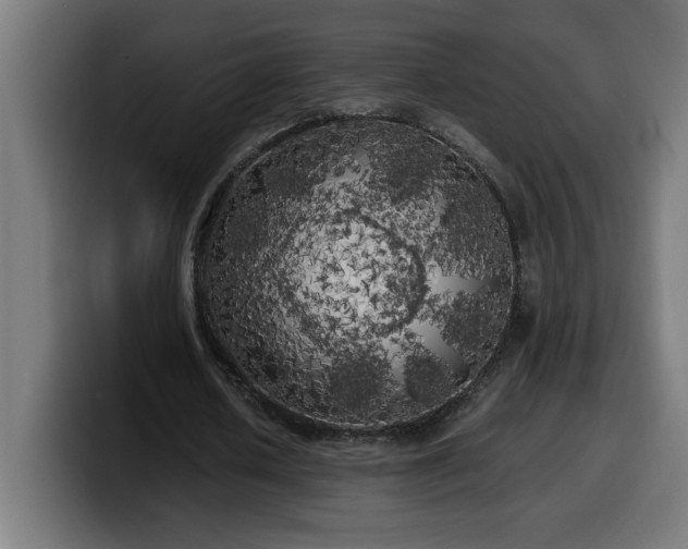 X0000100490626200806131250