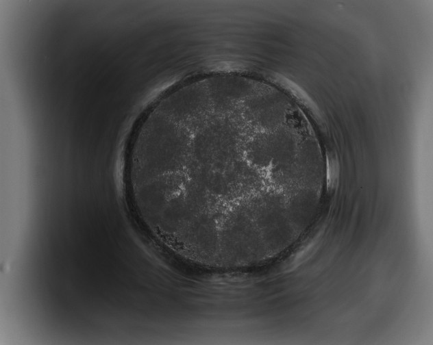 X0000100490627200806131250