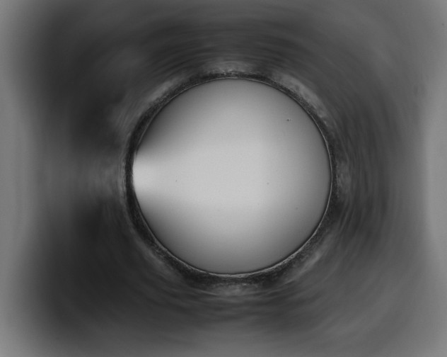 X0000100490629200806131250