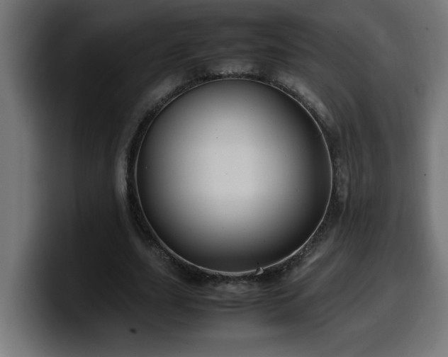 X0000100490631200806131250