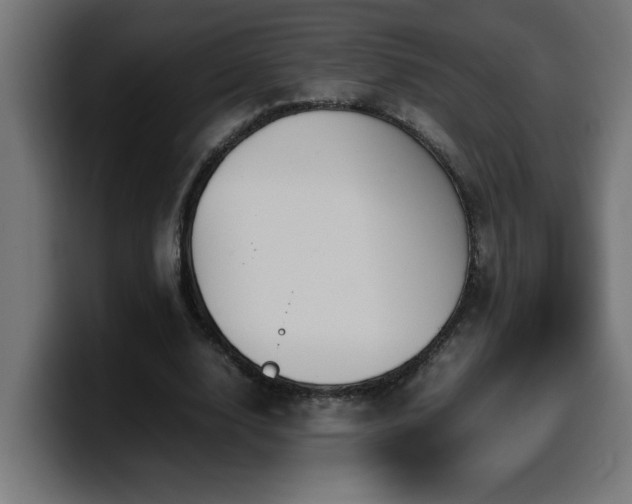 X0000100490632200806131250