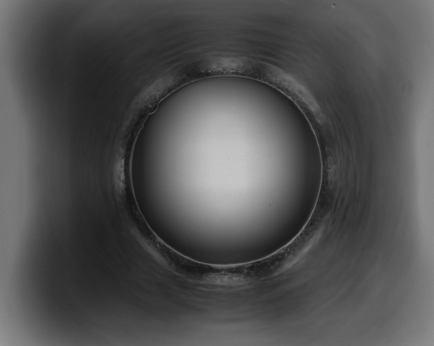 X0000100490633200806131250