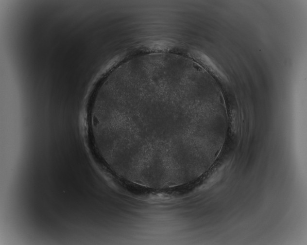 X0000100490634200806131251