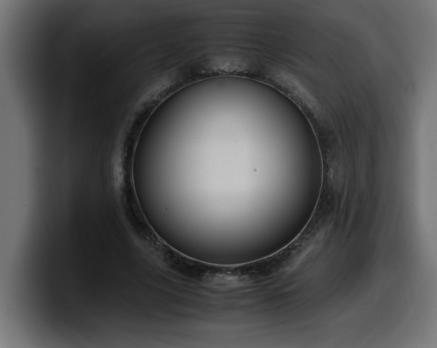 X0000100490635200806131251