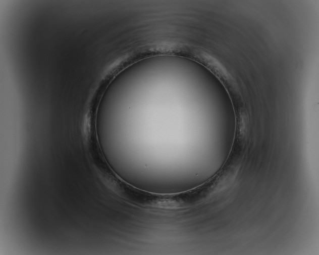 X0000100490636200806131251