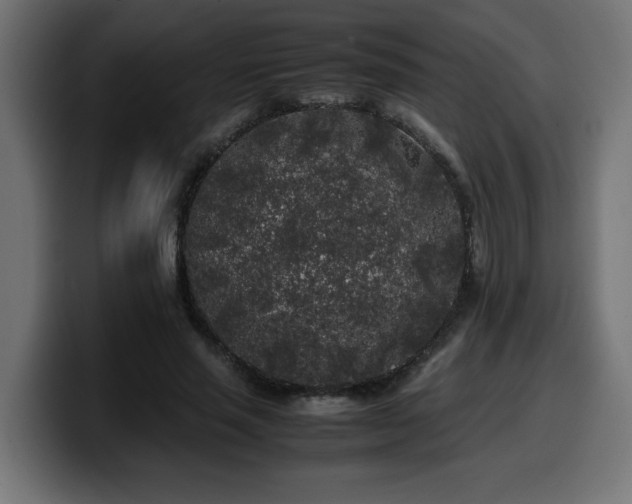 X0000100490637200806131251