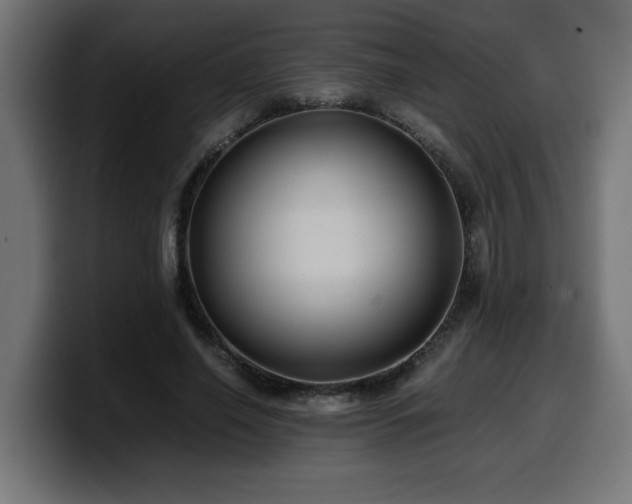 X0000100490638200806131251