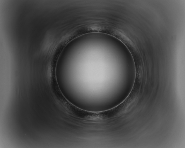 X0000100490639200806131251