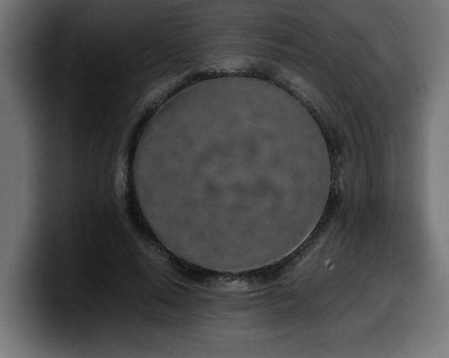 X0000100490640200806131251