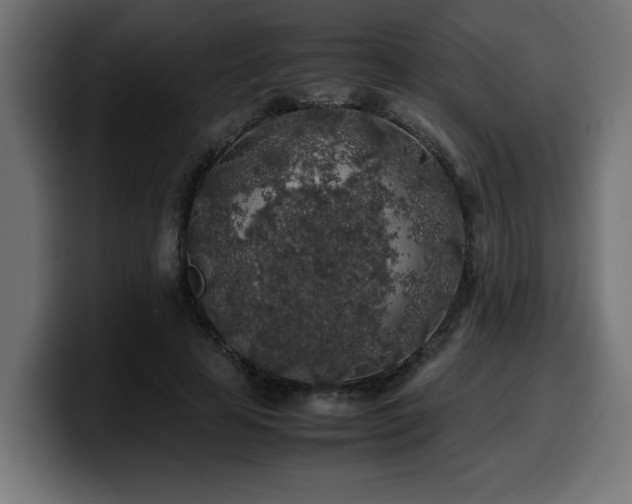 X0000100490641200806131251