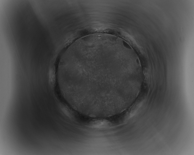 X0000100490642200806131251