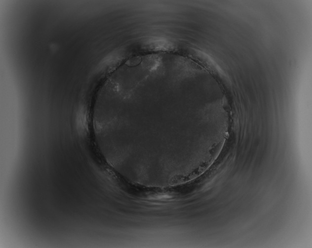 X0000100490643200806131251