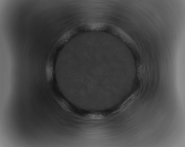 X0000100490644200806131251