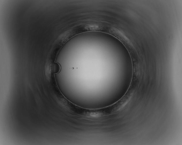 X0000100490645200806131251