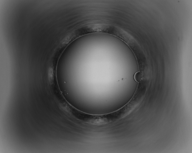 X0000100490646200806131251