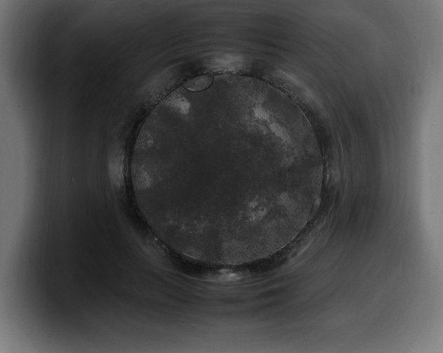 X0000100490647200806131251