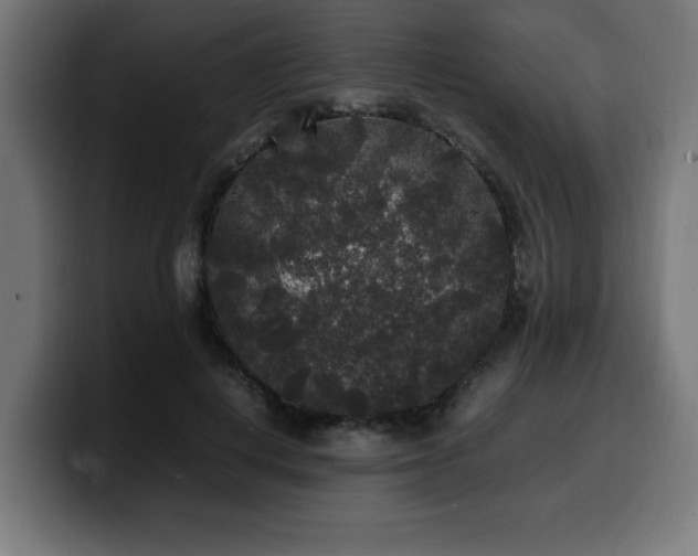 X0000100490648200806131251