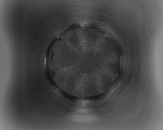 X0000100490650200806131251