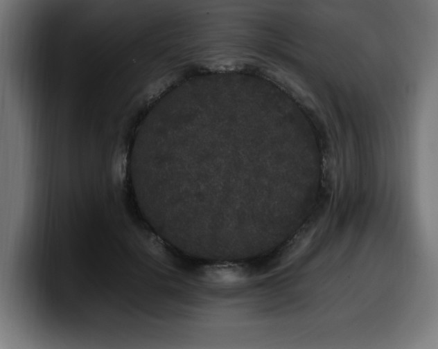 X0000100490652200806131251