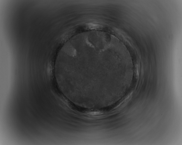 X0000100490653200806131251