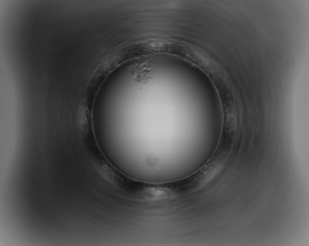X0000100490654200806131251