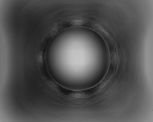 X0000100490655200806131251