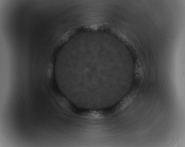 X0000100490656200806131251