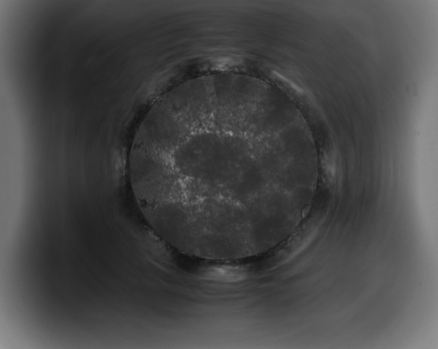 X0000100490657200806131251