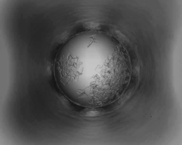 X0000100490658200806131251