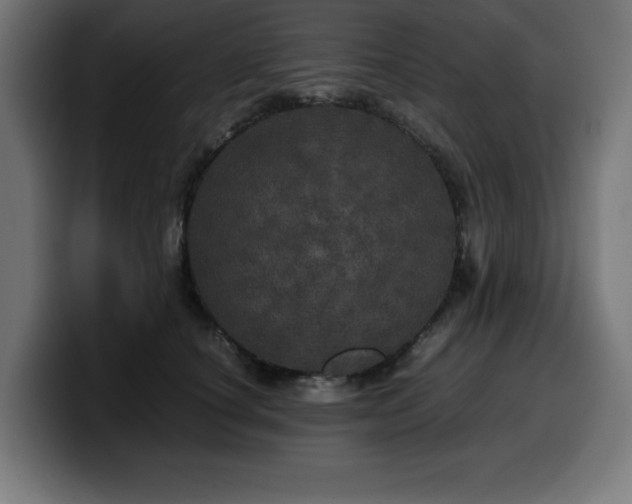 X0000100490660200806131251