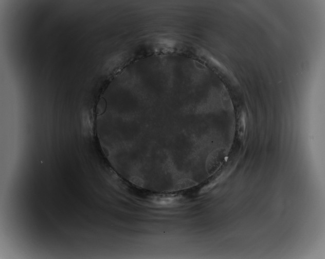 X0000100490661200806131251